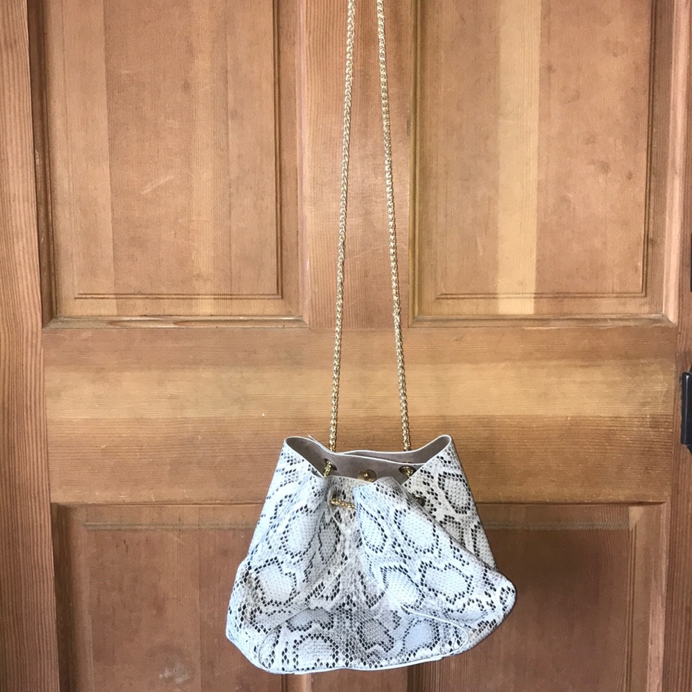 Snakeskin purse
